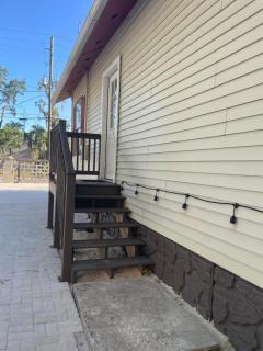 Little Carnation - 3