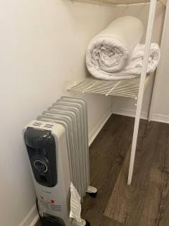 Little Carnation - 1