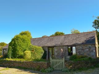 Campion Cottage - Saint Teath - 0