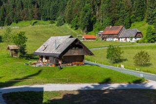 Brunarica Bled Zatrnik Pokljuka - Bled - 4