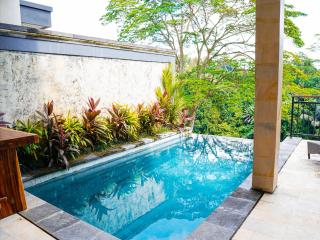 AKA Valley Villas Ubud - 2