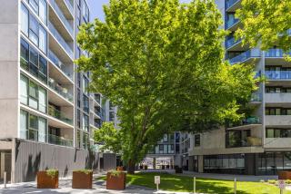 Prime 2BR Apt w Parking n Rooftop BBQ Near ANU - 4