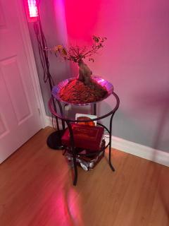 La Maison 4 Seasons, Chambre Automne - Saint-Jean-sur-Richelieu - 8
