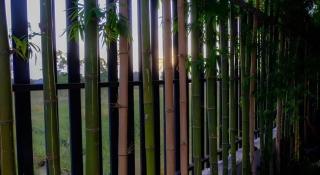 RiverHills Resort - Rayong - 5
