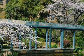 Belgravia Serviced Residence Wuxi - 4