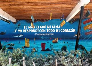 Ocean Lovers Taganga - PADI Dive Center & Hostel - 4