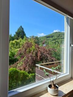BURGPANORAMA im Haus Auszeit mit Ausblick, 3BR, 2 Bäder, Parken, Küche, Balkon - Leinsweiler - 5