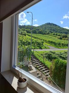 BURGPANORAMA im Haus Auszeit mit Ausblick, 3BR, 2 Bäder, Parken, Küche, Balkon - Leinsweiler - 3