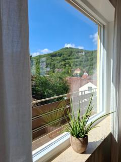 BURGPANORAMA im Haus Auszeit mit Ausblick, 3BR, 2 Bäder, Parken, Küche, Balkon - Leinsweiler - 6