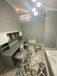 Comfortable and Beautiful flat - Taschkent - 2