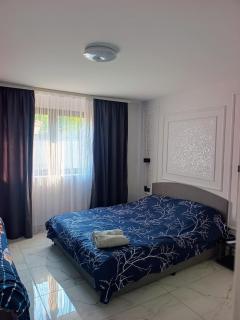 Zikin dom - Dimitrovgrad - 6
