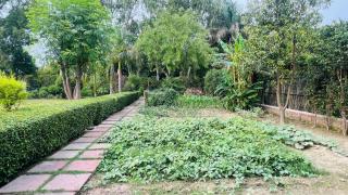 The galilee farmhouse - Noida - 9