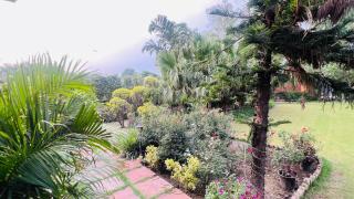 The galilee farmhouse - Noida - 7
