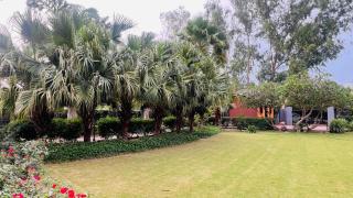 The galilee farmhouse - Noida - 1
