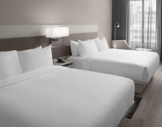 Hilton Jacksonville At Mayo Clinic - 4