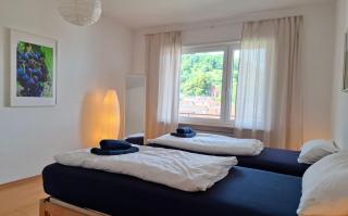 BURGPANORAMA im Haus Auszeit mit Ausblick, 3BR, 2 Bäder, Parken, Küche, Balkon - Leinsweiler - 1