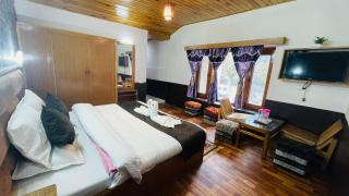 Hill-Top With Open Terrace , 100mtr From Mall Road - Manali - 9
