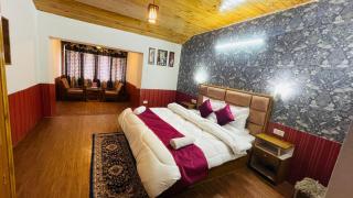 Hill-Top With Open Terrace , 100mtr From Mall Road - Manali - 2