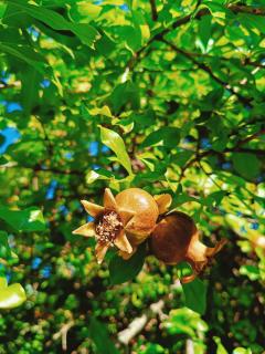 CASA Vacanze Brezza Marina Piras Maria Cristiana - 9