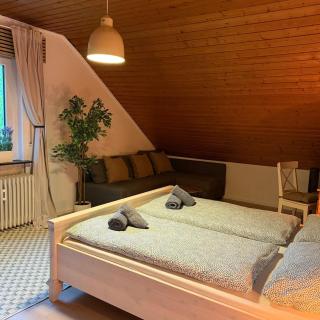 Holziges Dachgeschoss-Apartment - Karlsruhe - 4