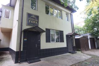 Отель Гора - Dobrovelychkivka - 9