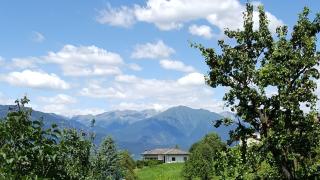 Dolomites White Rest Tres - Tres - 0