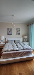 VillaMadeira Basement Apartment in Funchal - Funchal - 1