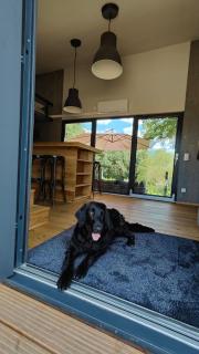 TinyHousebeiDresden 3 für 2 - 7 Personen, Nähe Sächsische Schweiz, Dresden, mit Badeteich - Großharthau - 4