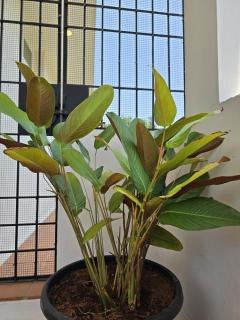 La Perle Cachee Villa - 5