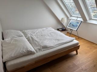 Großzügiges Dachterrassen-Appartment mit Klimaanlage und wunderbarem Ausblick über ganz Wien - 1