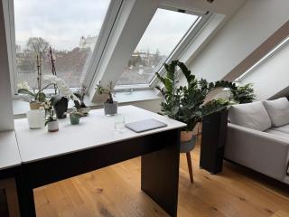 Großzügiges Dachterrassen-Appartment mit Klimaanlage und wunderbarem Ausblick über ganz Wien - 3