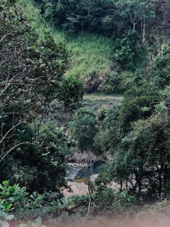 Eleven eleven cafe and resort - Badulla - 6