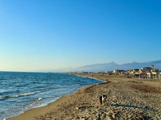 Perfect location apartment - 6