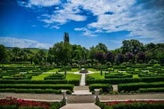 The Knight's Rest - Hunedoara - 7