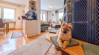 Ferienwohnung Fichtelsonne - 1