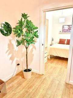 Apartamento en el corazón de Santa Cruz - Santa Cruz de Tenerife - 0