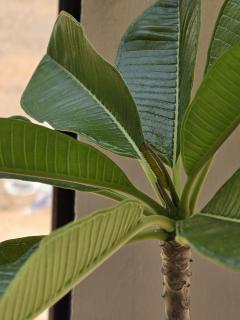 La Perle Cachee Villa - 6