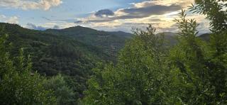 Mas Galinou - Saint-Étienne-Vallée-Française - 3