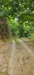 Mas Galinou - Saint-Étienne-Vallée-Française - 1