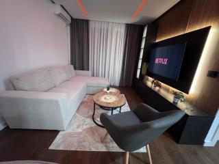 Tesla Apartman's 4 - Kragujevac - 0