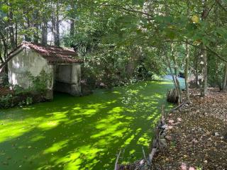 Atypical studio in wooded park - Gretz-Armainvilliers - 4