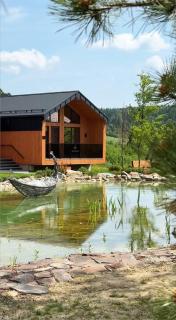 Phoenix Medical Resort - Schidnyzja - 5