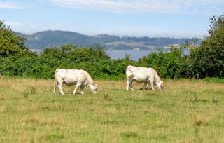 Amazing Home In Aabenraa With Wifi - 1
