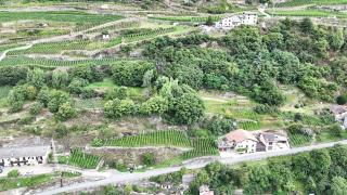 B&B Ca' La Vedescia - 2