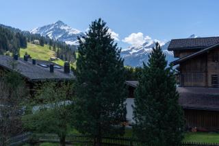 Chalet Diablerets - Gsteig - 2