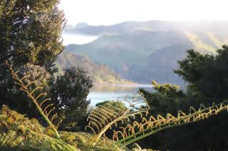 Kymata Cottage - Raglan - 0