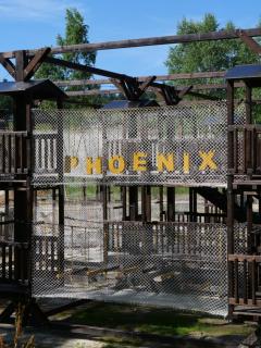 Phoenix Medical Resort - Schidnyzja - 1