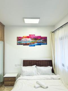 Exquisite Studio Apartment Kileleshwa - Nairobi - 6