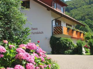 Haus Fernblick - Badenweiler - 9