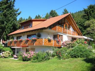 Haus Fernblick - Badenweiler - 0
